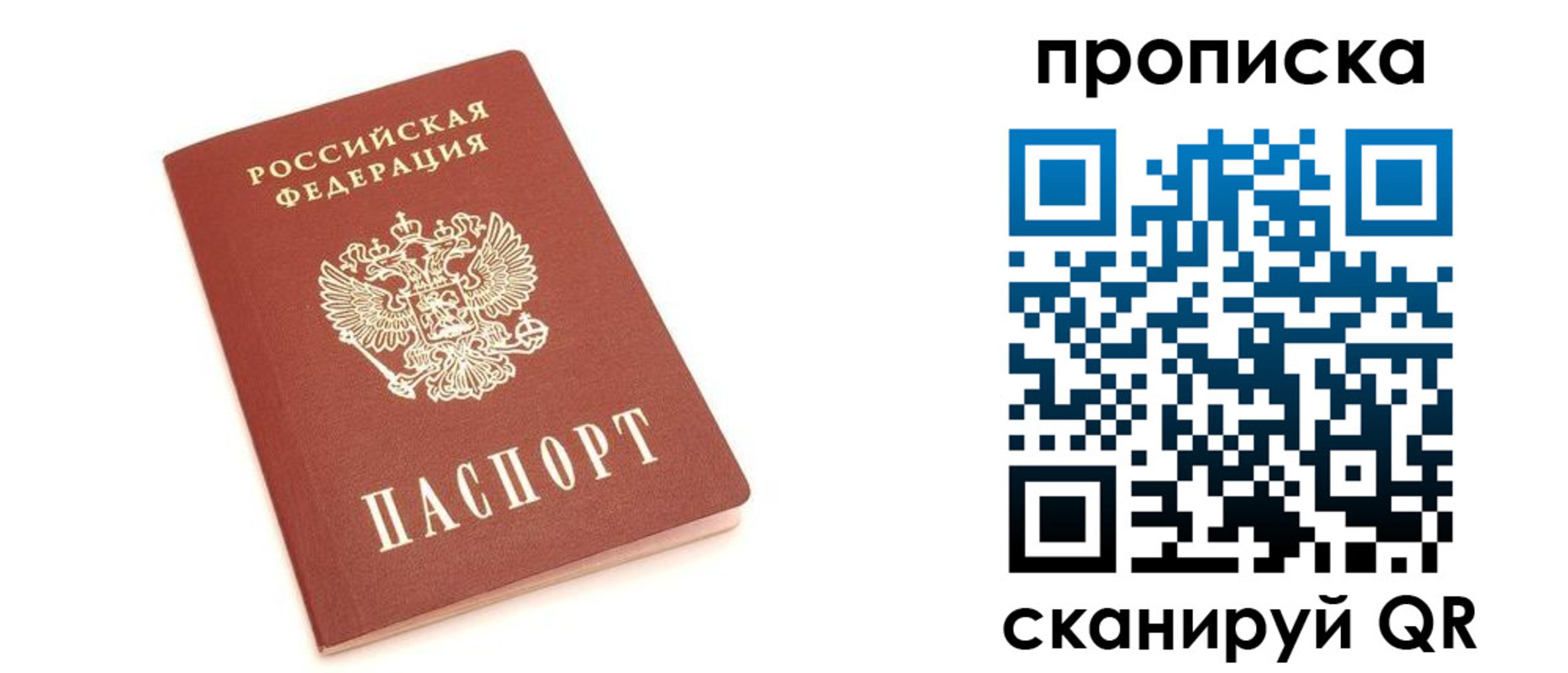 прописка 2025 в Павловском Посаде